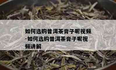 如何选购普洱茶膏子呢视频-如何选购普洱茶膏子呢视频讲解