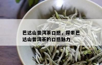 巴达山普洱茶口感，探索巴达山普洱茶的口感魅力