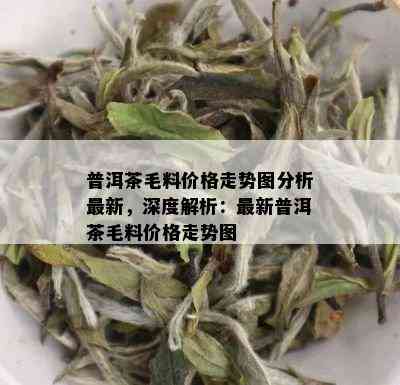 普洱茶毛料价格走势图分析最新，深度解析：最新普洱茶毛料价格走势图