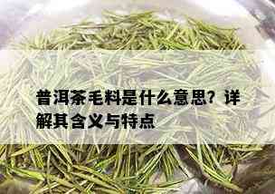 普洱茶毛料是什么意思？详解其含义与特点