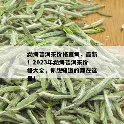 勐海普洱茶价格查询，最新！2023年勐海普洱茶价格大全，你想知道的都在这里！