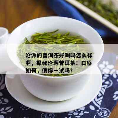 沧源的普洱茶好喝吗怎么样啊，探秘沧源普洱茶：口感如何，值得一试吗？