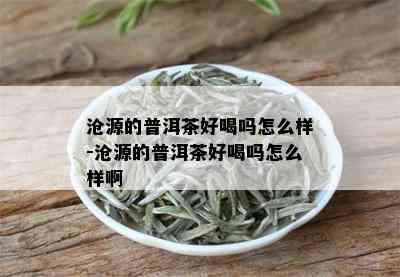 沧源的普洱茶好喝吗怎么样-沧源的普洱茶好喝吗怎么样啊