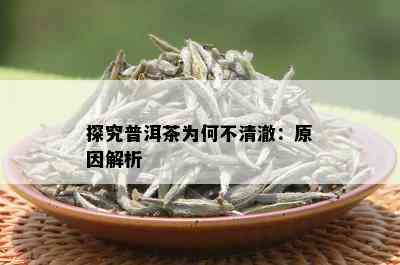 探究普洱茶为何不清澈：原因解析