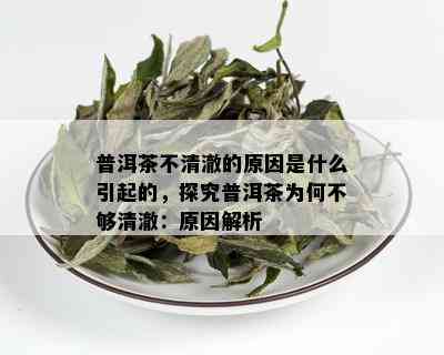 普洱茶不清澈的原因是什么引起的，探究普洱茶为何不够清澈：原因解析