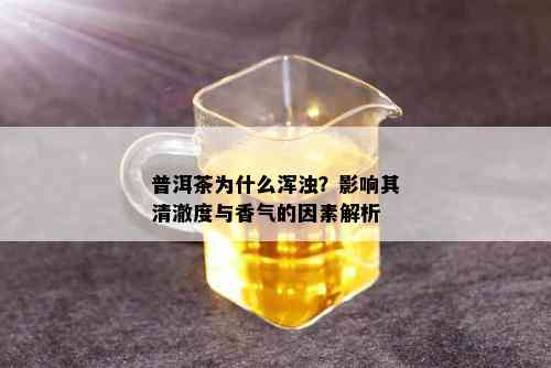 普洱茶为什么浑浊？影响其清澈度与香气的因素解析