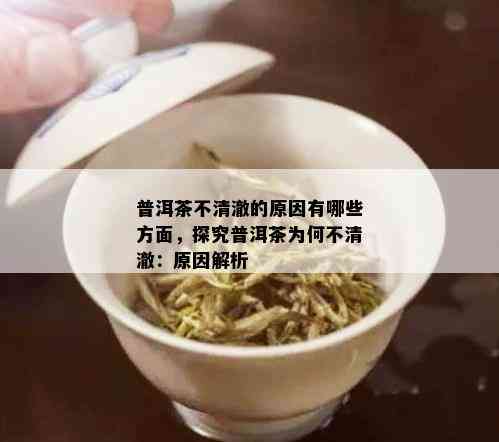 普洱茶不清澈的原因有哪些方面，探究普洱茶为何不清澈：原因解析