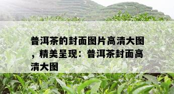 普洱茶的封面图片高清大图，精美呈现：普洱茶封面高清大图