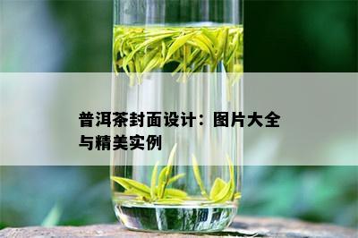 普洱茶封面设计：图片大全与精美实例