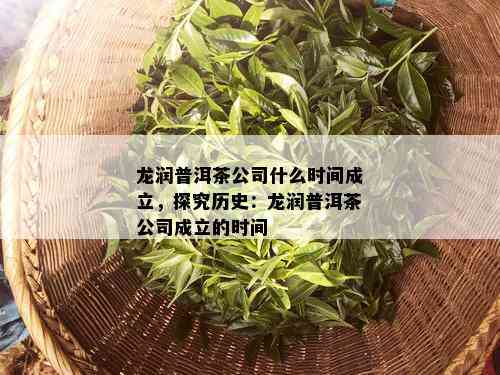 龙润普洱茶公司什么时间成立，探究历史：龙润普洱茶公司成立的时间