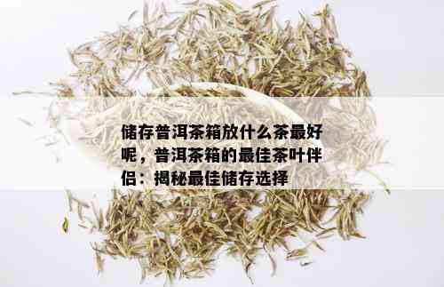 储存普洱茶箱放什么茶更好呢，普洱茶箱的更佳茶叶伴侣：揭秘更佳储存选择