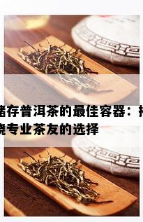 储存普洱茶的更佳容器：揭晓专业茶友的选择