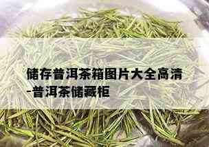 储存普洱茶箱图片大全高清-普洱茶储藏柜