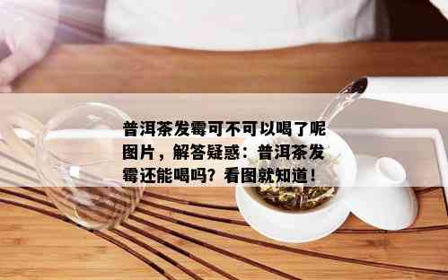 普洱茶发霉可不可以喝了呢图片，解答疑惑：普洱茶发霉还能喝吗？看图就知道！