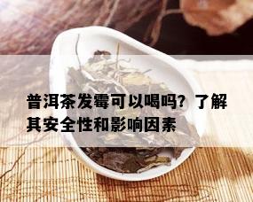 普洱茶发霉可以喝吗？了解其安全性和影响因素