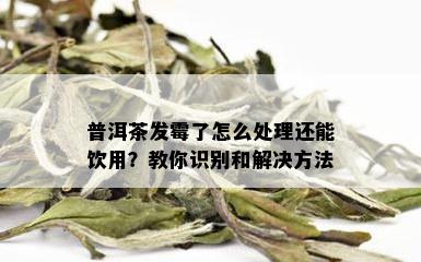 普洱茶发霉了怎么处理还能饮用？教你识别和解决方法