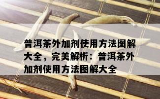 普洱茶外加剂使用方法图解大全，完美解析：普洱茶外加剂使用方法图解大全