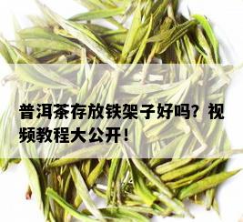 普洱茶存放铁架子好吗？视频教程大公开！