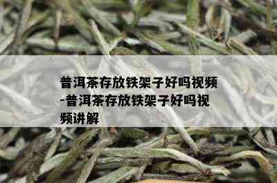 普洱茶存放铁架子好吗视频-普洱茶存放铁架子好吗视频讲解