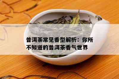 普洱茶常见香型解析：你所不知道的普洱茶香气世界