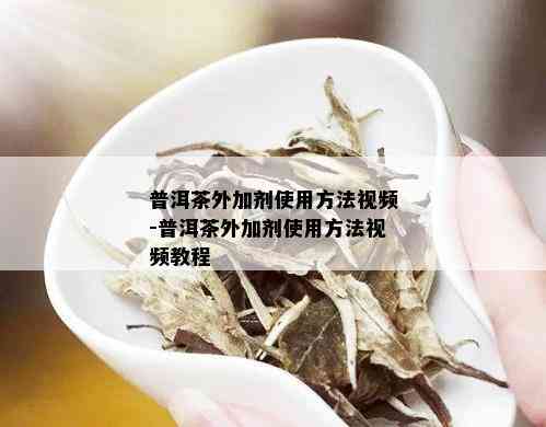 普洱茶外加剂使用方法视频-普洱茶外加剂使用方法视频教程