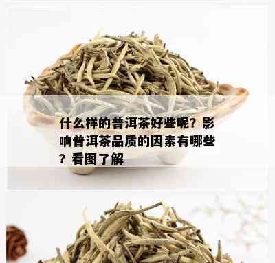 什么样的普洱茶好些呢？影响普洱茶品质的因素有哪些？看图了解