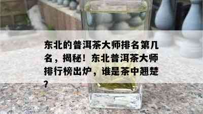 东北的普洱茶大师排名第几名，揭秘！东北普洱茶大师排行榜出炉，谁是茶中翘楚？