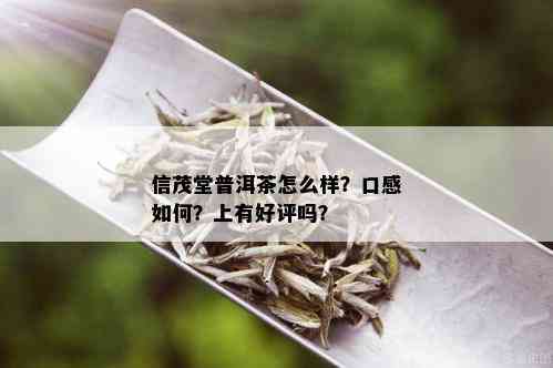 信茂堂普洱茶怎么样？口感如何？上有好评吗？