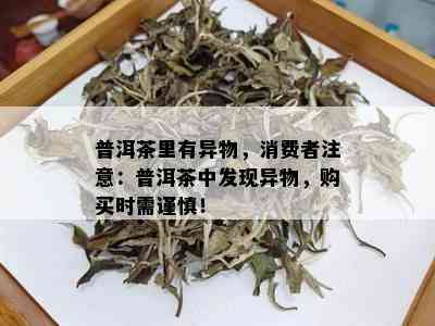 普洱茶里有异物，消费者注意：普洱茶中发现异物，购买时需谨慎！