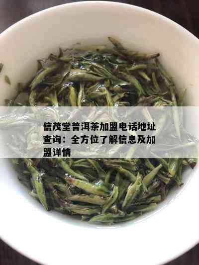 信茂堂普洱茶加盟电话地址查询：全方位了解信息及加盟详情