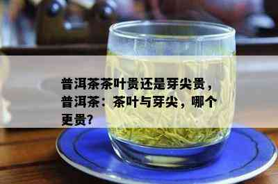 普洱茶茶叶贵还是芽尖贵，普洱茶：茶叶与芽尖，哪个更贵？