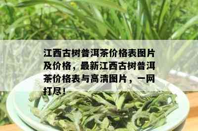 江西古树普洱茶价格表图片及价格，最新江西古树普洱茶价格表与高清图片，一网打尽！