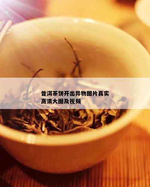 普洱茶饼开出异物图片真实高清大图及视频