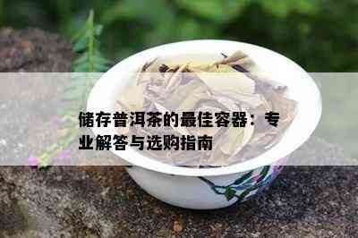 储存普洱茶的更佳容器：专业解答与选购指南