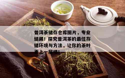 普洱茶储存仓库图片，专业储藏！探究普洱茶的更佳存储环境与方法，让你的茶叶更上一层楼！