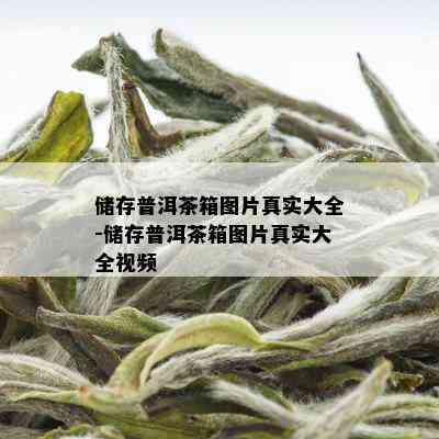 储存普洱茶箱图片真实大全-储存普洱茶箱图片真实大全视频