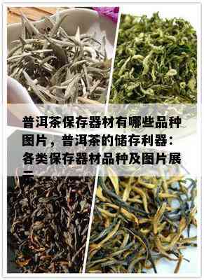 普洱茶保存器材有哪些品种图片，普洱茶的储存利器：各类保存器材品种及图片展示