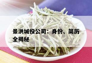 景洪城 *** 司：身份、简历全揭秘