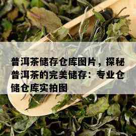 普洱茶储存仓库图片，探秘普洱茶的完美储存：专业仓储仓库实拍图