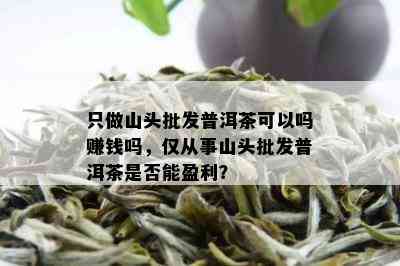 只做山头批发普洱茶可以吗赚钱吗，仅从事山头批发普洱茶是否能盈利？