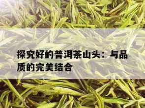 探究好的普洱茶山头：与品质的完美结合