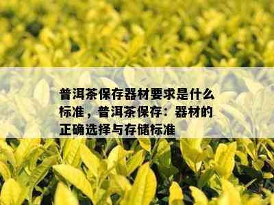 普洱茶保存器材要求是什么标准，普洱茶保存：器材的正确选择与存储标准