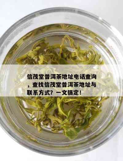 信茂堂普洱茶地址电话查询，查找信茂堂普洱茶地址与联系方式？一文搞定！