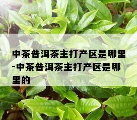 中茶普洱茶主打产区是哪里-中茶普洱茶主打产区是哪里的