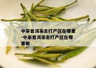 中茶普洱茶主打产区在哪里-中茶普洱茶主打产区在哪里呢