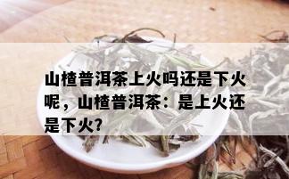 山楂普洱茶上火吗还是下火呢，山楂普洱茶：是上火还是下火？