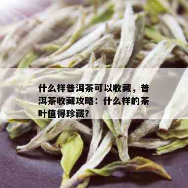 什么样普洱茶可以收藏，普洱茶收藏攻略：什么样的茶叶值得珍藏？