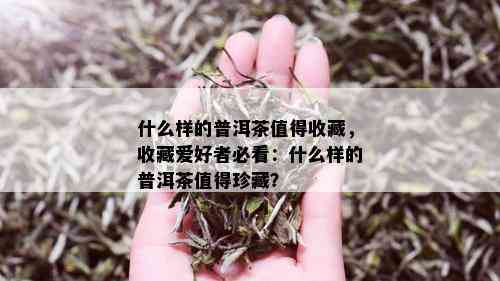 什么样的普洱茶值得收藏，收藏爱好者必看：什么样的普洱茶值得珍藏？