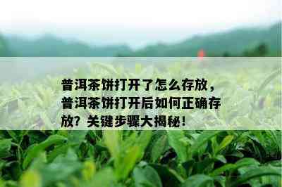 普洱茶饼打开了怎么存放，普洱茶饼打开后如何正确存放？关键步骤大揭秘！