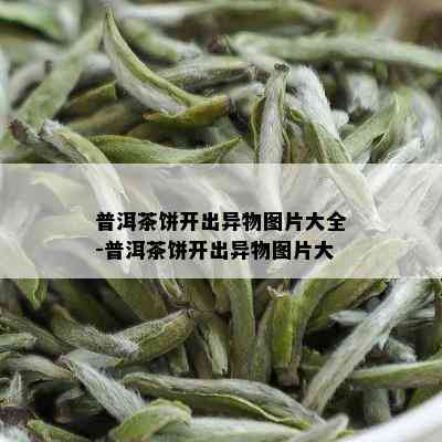 普洱茶饼开出异物图片大全-普洱茶饼开出异物图片大